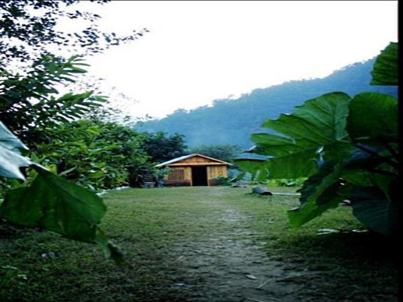 Rishīkesh Elephant Brook Resort المظهر الخارجي الصورة